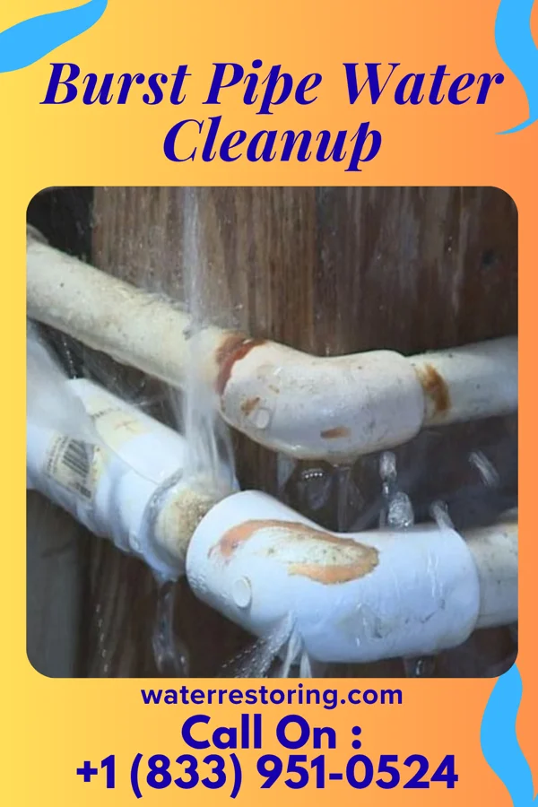 Burst Pipe Water Cleanup in Pleasant Run Farm, OH