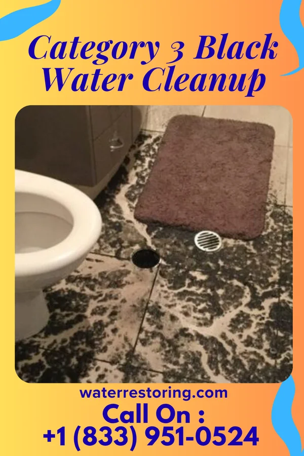 Category 3 Black Water Cleanup in Pleasant Run Farm, OH