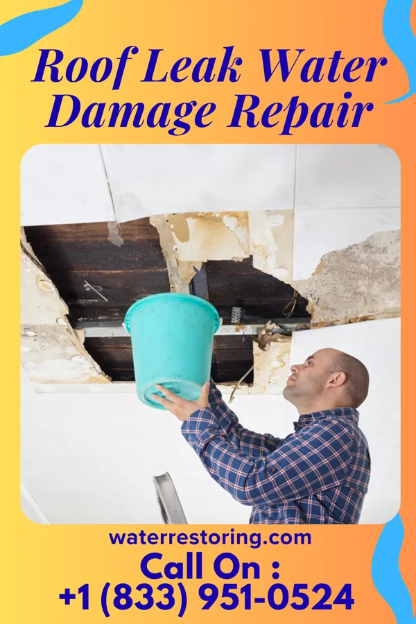 Roof Leak Water Damage Repair in Pleasant Run Farm, OH