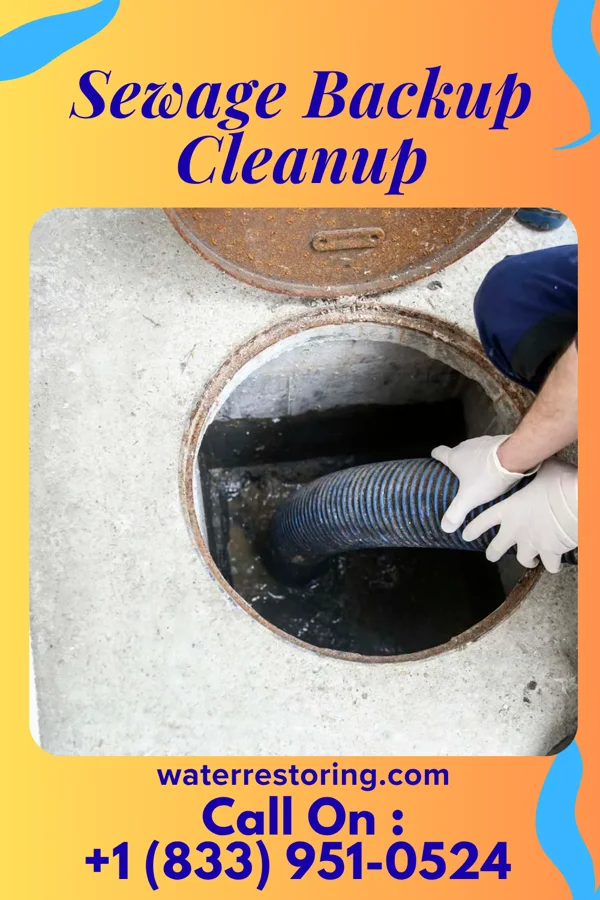 Sewage Backup Cleanup in Pleasant Run Farm, OH