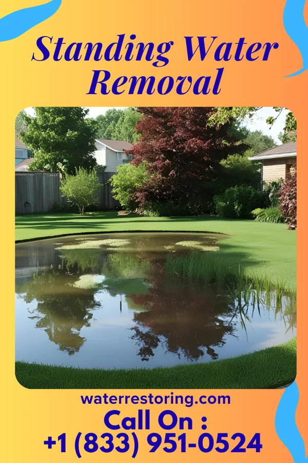 Standing Water Removal in Pleasant Run Farm, OH